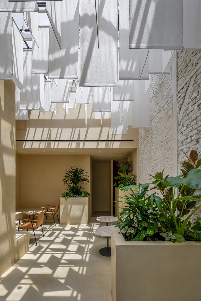 Светлый зал с растениями и текстильными панелями MORICO Café