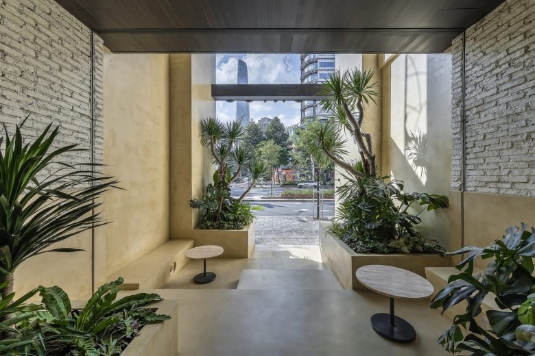 Входная зона с растениями и видом на улицу MORICO Café