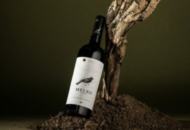 бутылка на фоне джин The Blackbird Singer