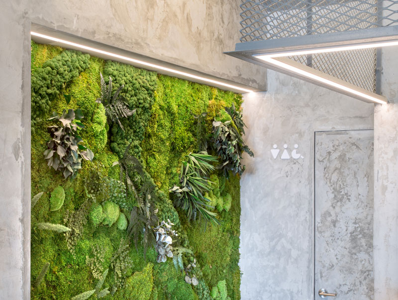 Живая зелень на стене в дизайне интерьера ресторана