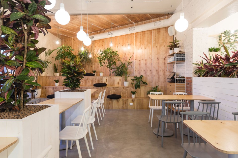 Деревянная отделка стен в дизайне кофейни