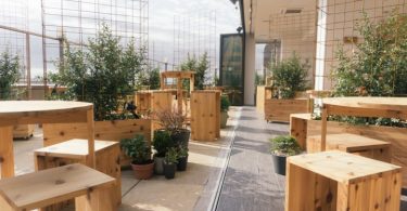 Дизайн интерьера пивного сада «Kimoto Rooftop»