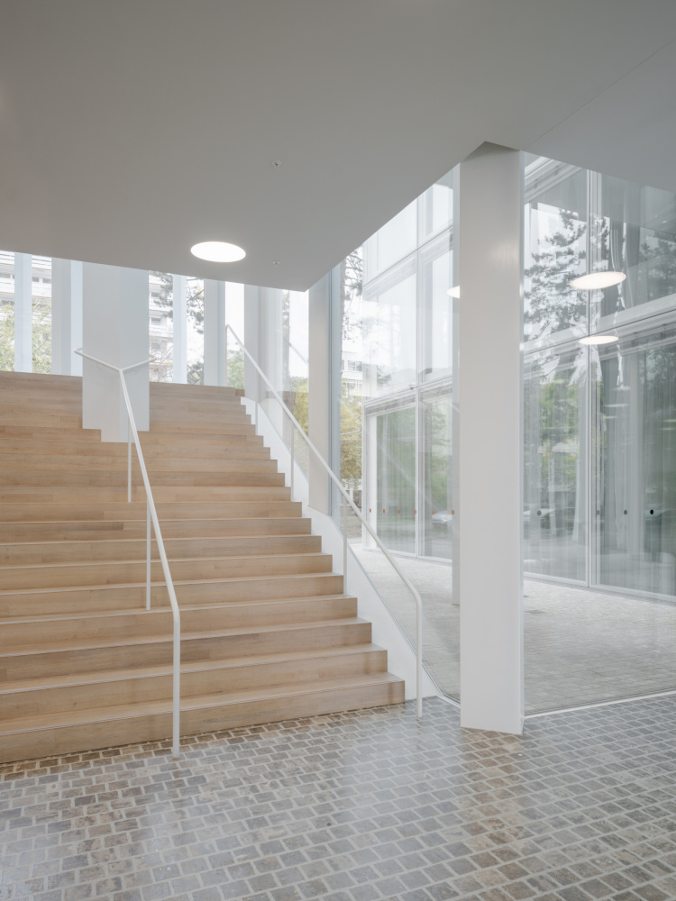 лестница с первого этажа Helvetia