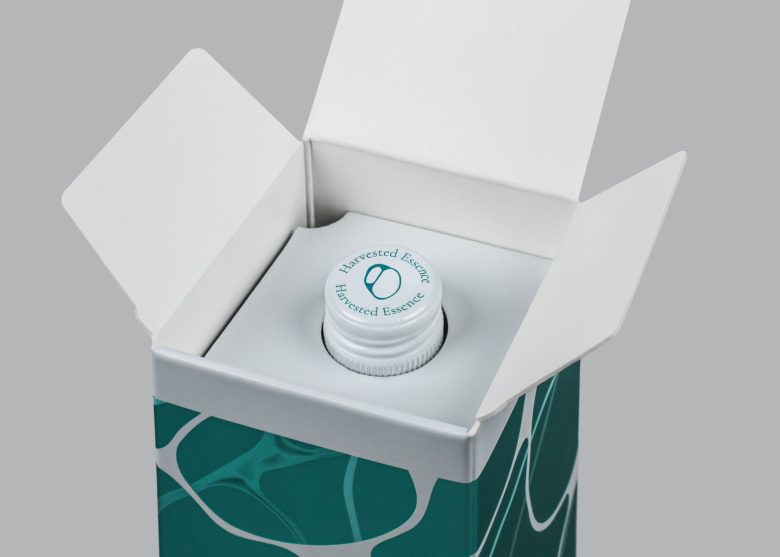 открытая коробка Essence 58