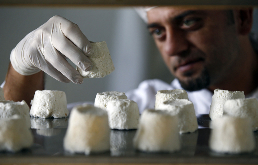 Самые дорогие блюда в мире: Сыр из ослиного молока
