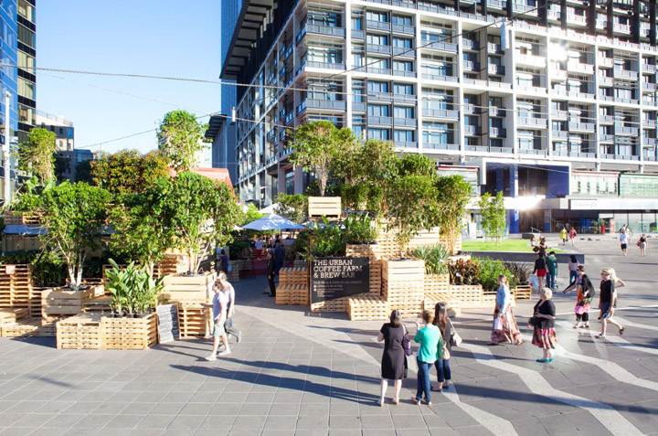 Растения кафе Urban Coffee Farm and Brew Bar в Австралии