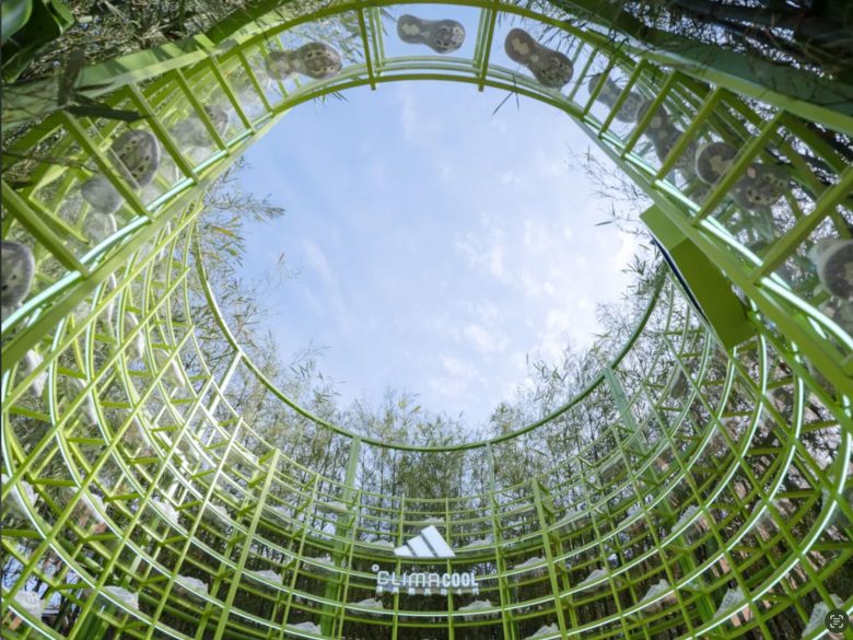 вид на верх Climacool Teahouse