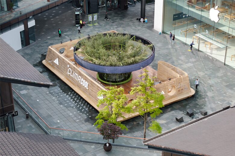 вид сверху на интерьер у кафе Climacool Teahouse