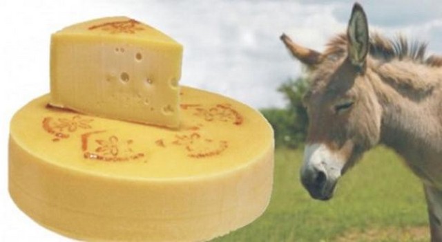 Сыр из ослиного молока